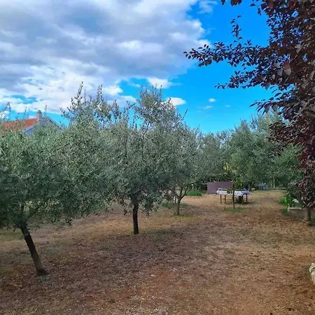 Adorable 2-person With Free Parking, Olive Garden & Open Terrace * Zadar